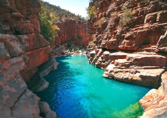 Paradise Valley  Trip 